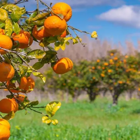 Apartamento #098 Casa Antonieta 3 By Holidays *