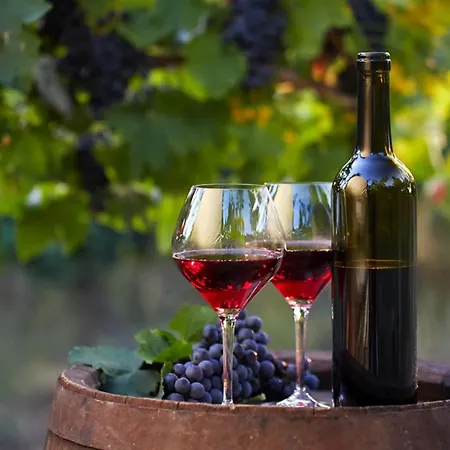 アパート #098 Casa Antonieta 3 By Holidays